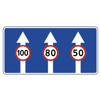 Дорожный знак 5.15.8 «Число полос» (металл 0,8 мм, II типоразмер: 700х1400 мм, С/О пленка: тип А инженерная)